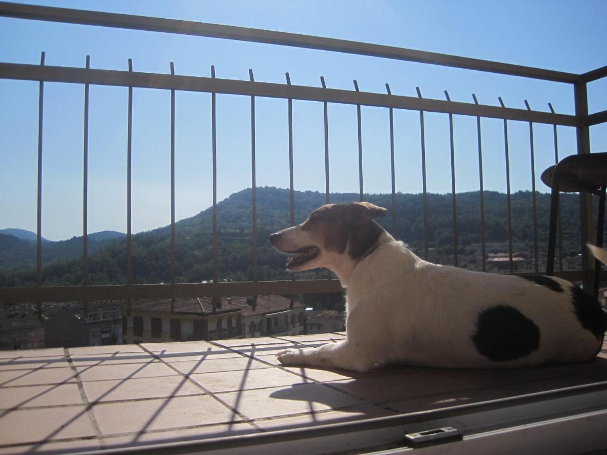 Hostal Sant Bernat Olot Chambre photo